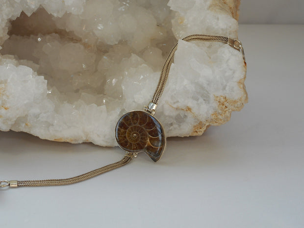 Ammonite Fossil Bracelet 2