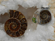 Ammonite Fossil Pendant 9 with Peridot