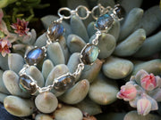 Labradorite Bracelet 1