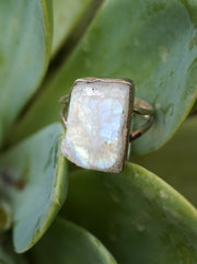 Free-form Organic Moonstone Ring 3