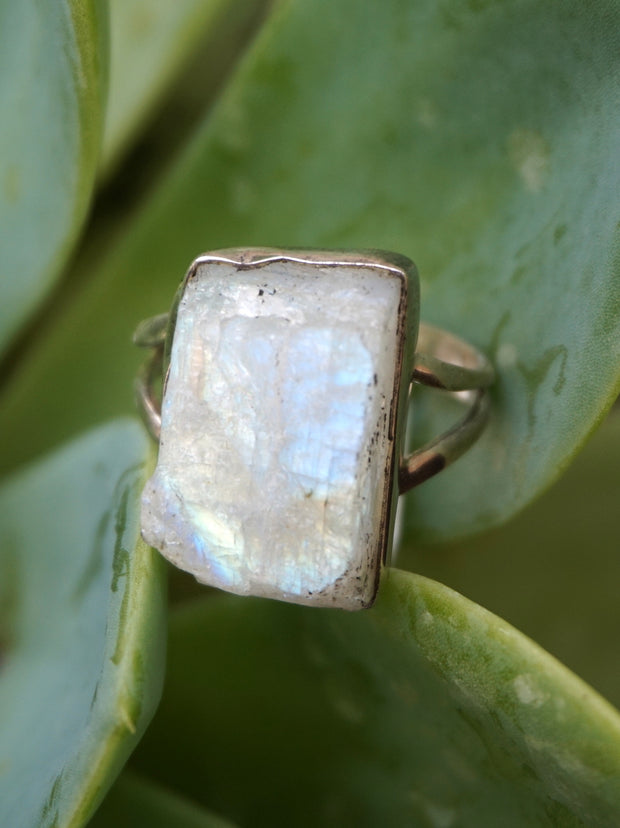 Free-form Organic Moonstone Ring 3