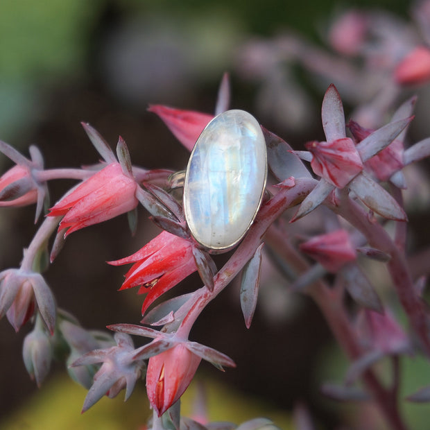 Oval Moonstone Ring 1