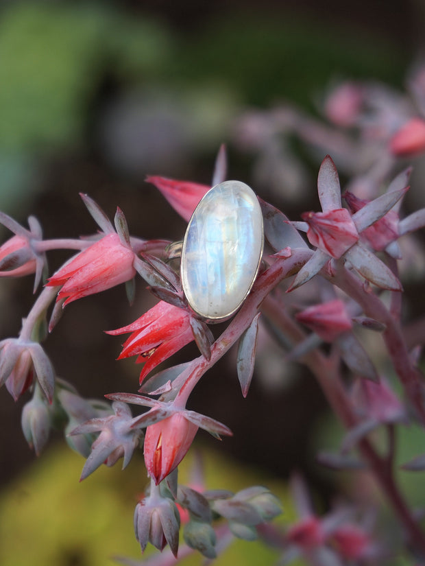 Oval Moonstone Ring 1