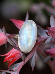 Oval Moonstone Ring 1