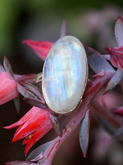 Oval Moonstone Ring 1