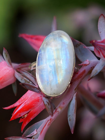 Oval Moonstone Ring 1