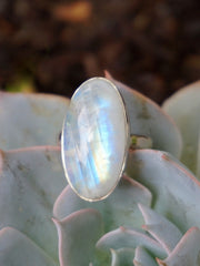 Oval Moonstone Ring 1