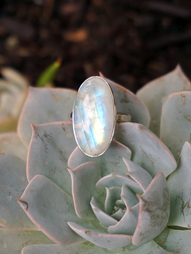 Oval Moonstone Ring 1