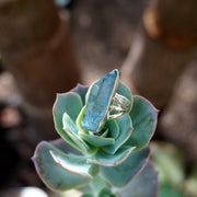 Aqua Aura Quartz Crystal Ring 2