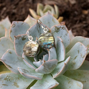 Labradorite Earring Set 2