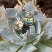 Labradorite Earring Set 2