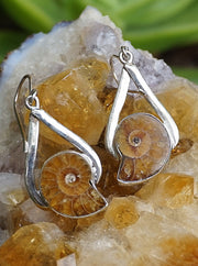 Ammonite Fossil and Sterling Earring Set 1