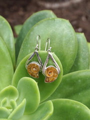 Ammonite Fossil and Sterling Earring Set 1