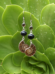 Ammonite Fossil Earring Set 3 with Black Onyx and Smoky Quartz