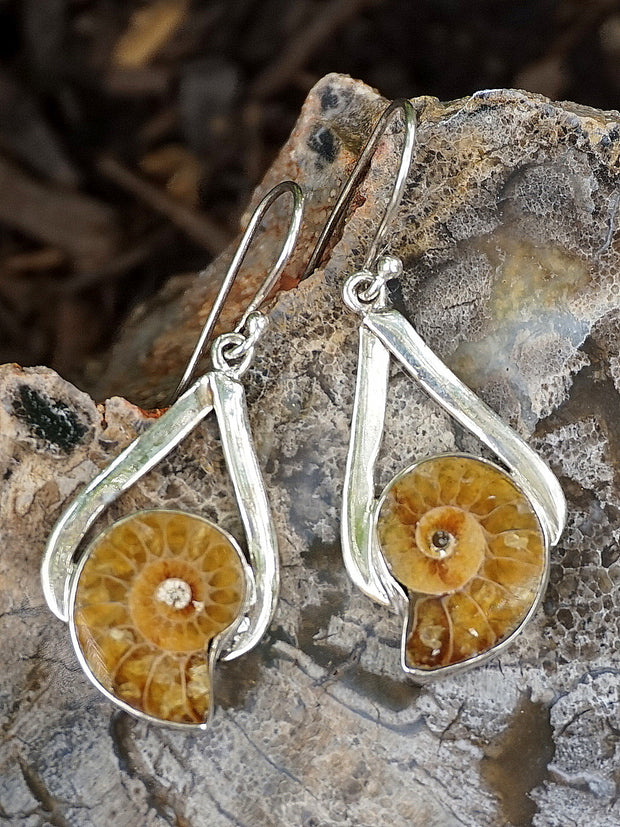 Ammonite Fossil and Sterling Earring Set 1