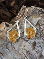 Ammonite Fossil and Sterling Earring Set 1