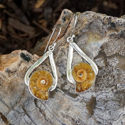 Ammonite Fossil and Sterling Earring Set 1