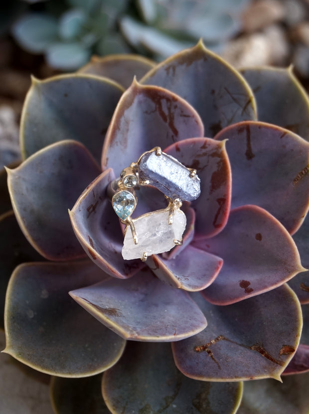 Garden Beauty Ring 1 with Tanzanite and Moonstone