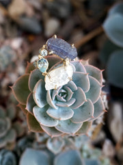 Garden Beauty Ring 1 with Tanzanite and Moonstone