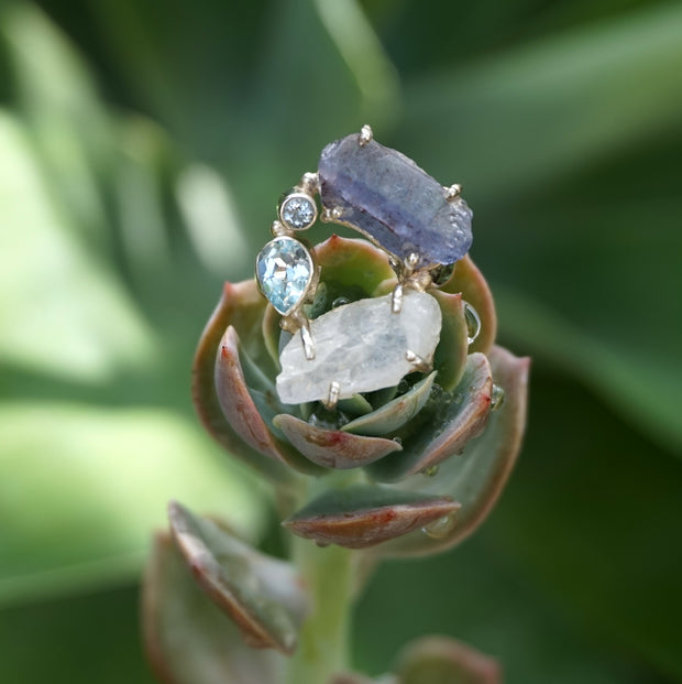 Garden Beauty Ring 1 with Tanzanite and Moonstone