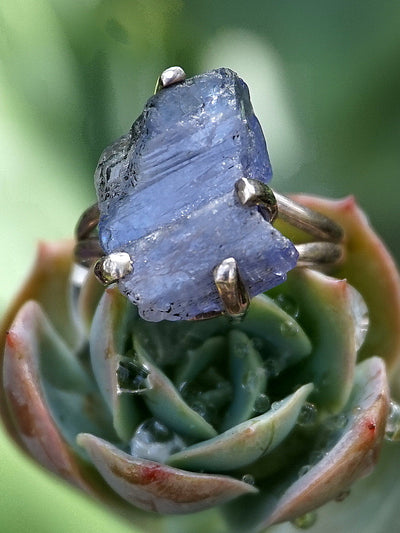 Rough Tanzanite Ring 4