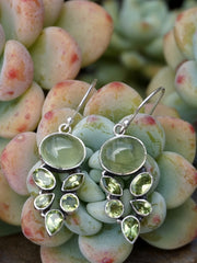 Prehnite Earring Set 1 with Peridot