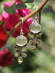 Prehnite Earring Set 1 with Peridot