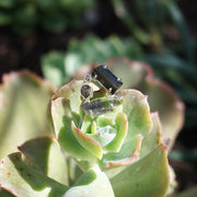 Garden Beauty Ring 9 with Tourmaline and Herkimer Diamond