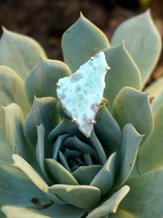 Free-form Larimar Ring 1