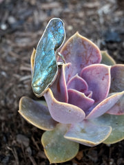 Free-form Rough Labradorite Ring 1