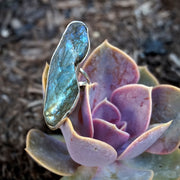 Free-form Rough Labradorite Ring 1