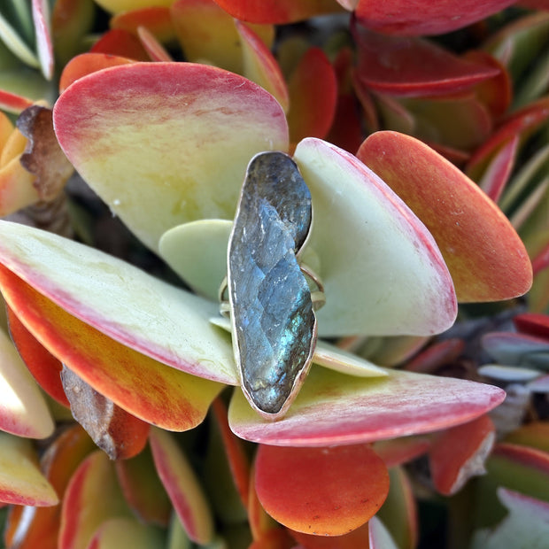 Free-form Rough Labradorite Ring 1