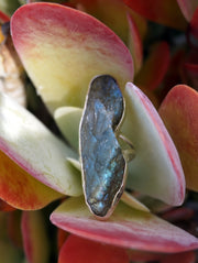 Free-form Rough Labradorite Ring 1