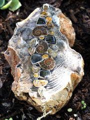 Ammonite Fossil and Quartz Bracelet 1