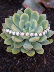 Freshwater Pearl Tennis Bracelet 1