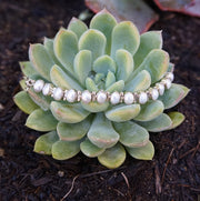 Freshwater Pearl Tennis Bracelet 1