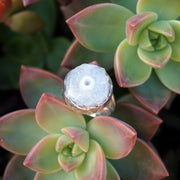 Round White Solar Quartz Gemstones Ring 1