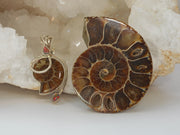 Ammonite Fossil Pendant 1 with Fire Opal