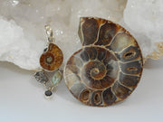 Ammonite Fossil Pendant 3 with Meteorite, Opal and Onyx
