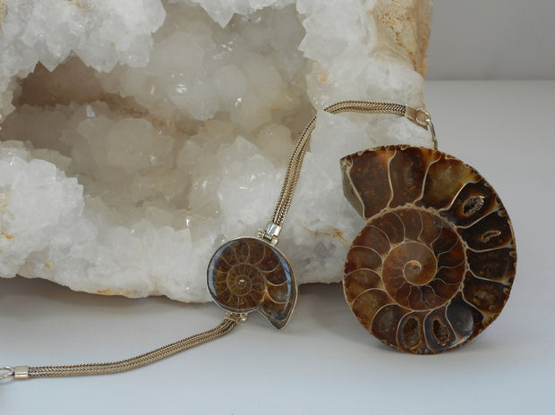 Ammonite Fossil Bracelet 2