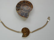 Ammonite Fossil Bracelet 2