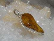 Amber Pendant 6