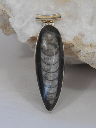 Orthoceras Fossil Pendant 1