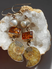 Amber Earring Set 4 with Ammonite Fossil and Pearl