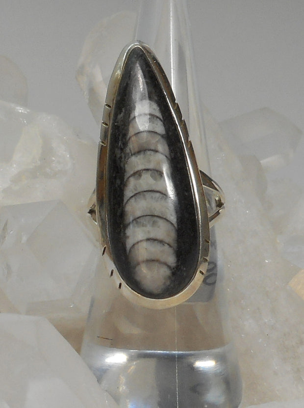 Orthoceras Fossil Ring 1